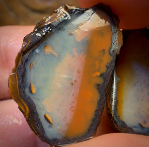 OpalFest Bargain Card! 35.3cts - Yowah Nut Partial Crystal Centre Rough Specimen Pair