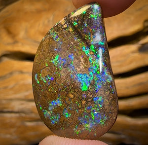 31.4cts - Yowah Nut Opal. Australian Opal
