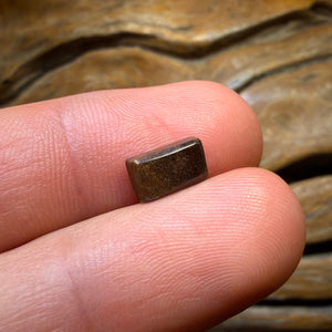 2.1cts - Australian Boulder Seam Opal from Winton