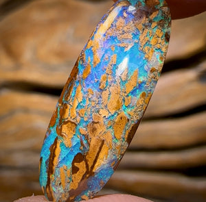 Auction Fall-Through = Your Gain! - Now More Than 50% Off RRP - 5.8cts - Australian Boulder Opal Fossil Wood Replacement Yowah. Double Sided!