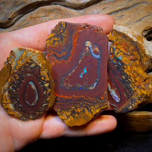 615cts - 3x Yowah Nut Tribal Opal Rough Parcel. Australian Boulder Opal