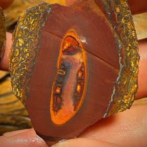 🔨 AUCTION 🔨 221.6cts - Yowah Nut Crystal Centre Rough Specimen Pair