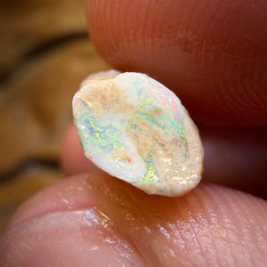 9.9cts - Opalised Belemnite Geological Specimen from South Australia