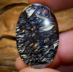 41.6cts - “Priceless” Queensland Boulder Opal. Tribal Matrix
