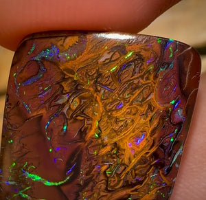 48.3cts - Tribal Pattern Electric Koroit Nut Opal - Opal Whisperers