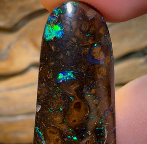 71.4cts - Tribal Koroit Nut Opal - Opal Whisperers