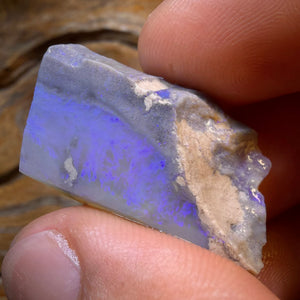 HDW 31.2cts - Lightning Ridge Dark Opal Rough Piece