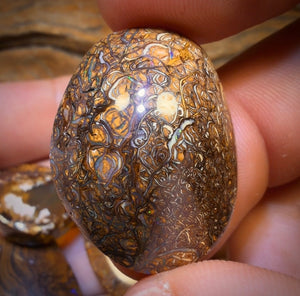 180.7cts - 5x Australian Boulder Opal’s. Wholesale Dealers Parcel