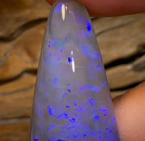 51.3cts - BIG Lightning Ridge Crystal Opal - Opal Whisperers