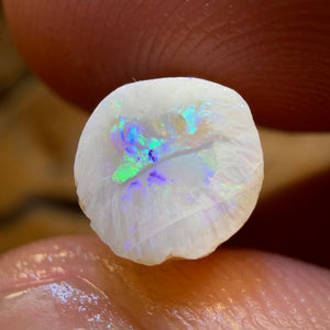 14.9cts - Opalised Belemnite Geological Specimen from South Australia
