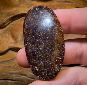 114.2cts - Yowah Nut Dark Tribal Opal Bargain - Opal Whisperers