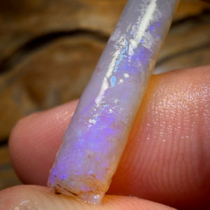 8.2cts - Opalised Belemnite Geological Specimen from South Australia