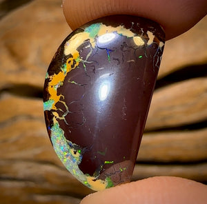 14.7cts - Yowah Nut Kernel Opal. Unique Cut