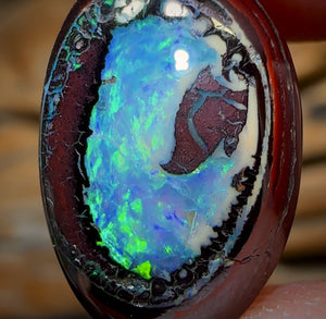 11.8cts - “Collectors Prize” Yowah Nut Kernel Opal. Australian Boulder Opal