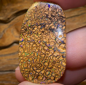 52.3cts - Yowah Nut Tan Tribal Opal. Double Sided - Opal Whisperers