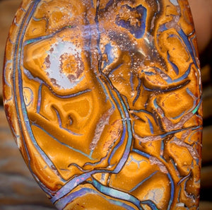 42 x 24mm - Drilled Tribal Queensland Boulder Opal Necklace