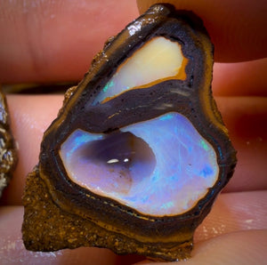 49.7cts - “Owl Eyes”Yowah Nut Partial Crystal Centre Rough Specimen Pair