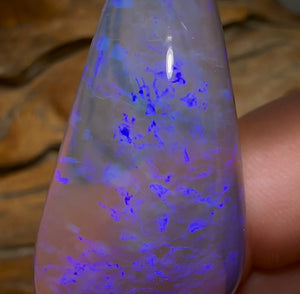 51.3cts - BIG Lightning Ridge Crystal Opal - Opal Whisperers