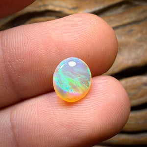 1.6cts - Queensland Boulder Crystal Opal
