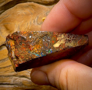 173,1 ct – Rohstück eines Boulderopals aus Koroit, Queensland (Stammesgebiet)