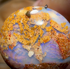 6.5cts - Solid Australian Boulder Pipe Opal BARGAIN