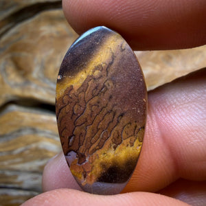 Opal Fest Bargain Card 28.1cts - Tribal Magic Picture Stone Yowah Nut Opal. Australian Opal
