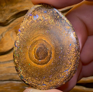 119.5cts - Yowah Nut Intricate Tribal Australian Opal. - Opal Whisperers