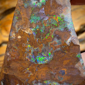 TGIF 70.2cts - Queensland Boulder Seam Opal Rub
