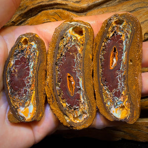 664.5cts - Tribal Yowah Nut Rough Specimen Trio