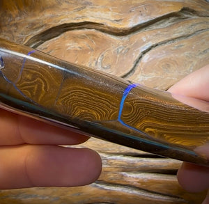 844.4cts- Polished Queensland Boulder Opal Specimen. Massive Heritage Piece - Opal Whisperers