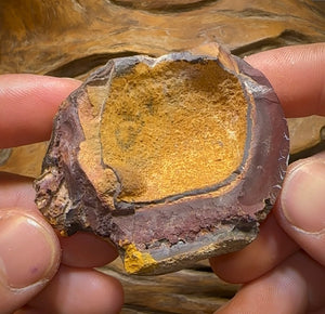 465cts - Australian Boulder Opal Specimen Tribal Nut Skin - Opal Whisperers