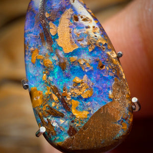2.8cts - Wood Fossil Replacement Boulder Opal from Yowah