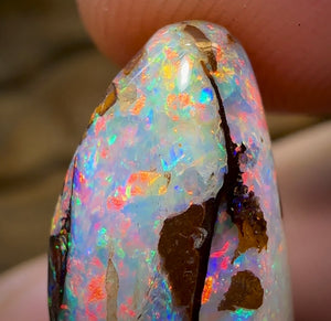 17.5cts - Yowah Nut Kernel Opal, Christmas Beetle - Opal Whisperers