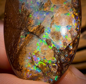 Auction Fall-Through = Your Gain! 🔥 117.5cts - Rare Australian Boulder Wood Fossil Opal Split Pair Bid for One Bid For Both