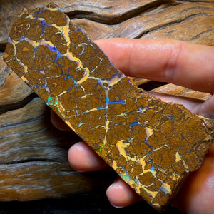 683cts - Queensland Boulder Seam Opal Rough Piece