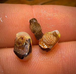 4.1cts - 3x Top Quality Australian Boulder Seam Opal Rubs Parcel