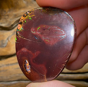 92.4cts - Tribal Koroit Nut Opal - Opal Whisperers