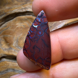 TGIF 22.1cts - Top Black Tribal Yowah Nut Opal