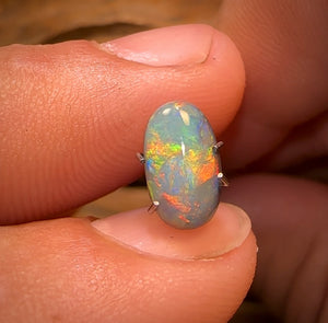 1.55cts - GEM Lightning Ridge Black Opal. Multicolours!