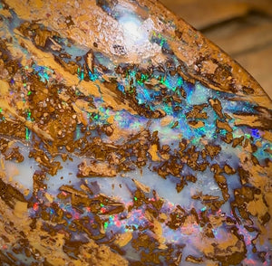 65.3cts - Large Australian Boulder Wood Fossil Opal Multicolour - Opal Whisperers