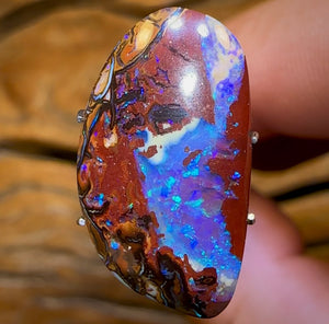 10.5cts - Queensland Boulder Opal Nut Kernel from Koroit Double Sided Magic!