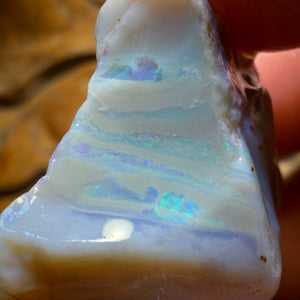 54.4cts - Lightning Ridge Dark Opal Rough Piece