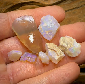 (Template) 55.7cts - 7x Lightning Ridge Crystal Opal Rough - Opal Whisperers