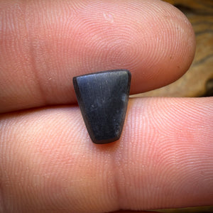 1.6cts - Lightning Ridge Opal Doublet Old School 30+ Yr