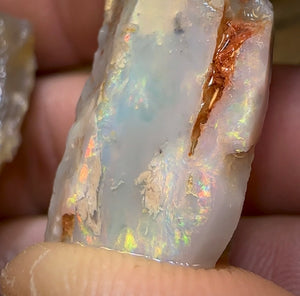 47.9cts - 2x Lightning Ridge Crystal and Dark Opal Fossil Rough Pieces - Opal Whisperers