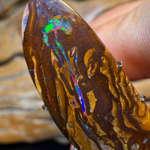 14.9cts - Yowah Nut Opal. Red Multicolour