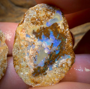 31.5cts - Yowah Fossil Opal Rough Pair. Australian Opal