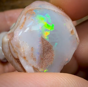 The 86.6cts - 4x Opalised Shell Geological Specimens from South Australia - Opal Whisperers