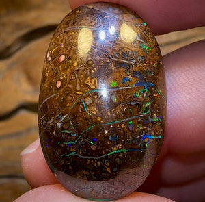 49.5cts - Queensland Boulder Opal. Yowah Tribal - Opal Whisperers