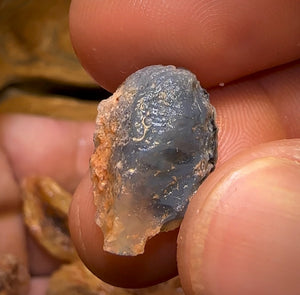 123cts - 9x Opalised Shell Geological Specimens from Lightning Ridge